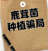 ֣һ˾ֲָ¹׾Ϊթ֮ʵ